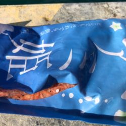 アジラッシュ！肉厚バッチリ♪