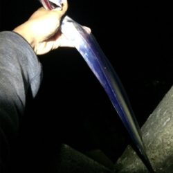 鳴門でタチウオテンヤ