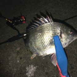 鳴門でライトゲーム