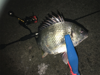 鳴門でライトゲーム