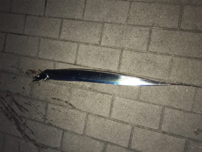 シーサイドコスモ