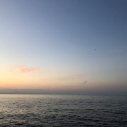 朝まづめに・・