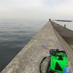 ムコイチ 加太 は相性悪し!