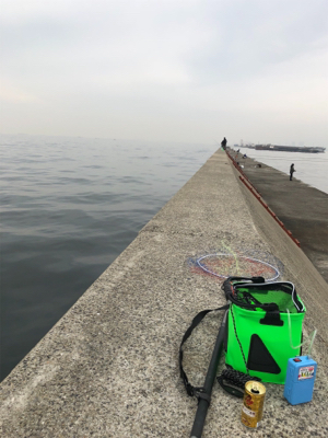 ムコイチ 加太 は相性悪し!