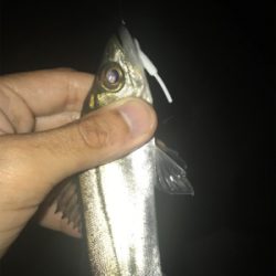 名港ライトゲーム