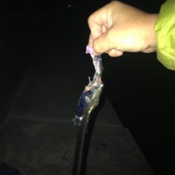 ニューメソッド追加‼︎ タチウオにも効くかも⁉︎