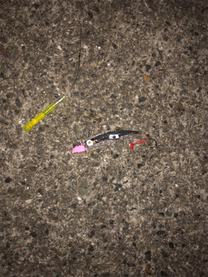 太刀魚ゲッターで太刀魚ゲッツ