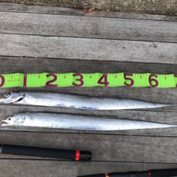 2日連続朝まずめ