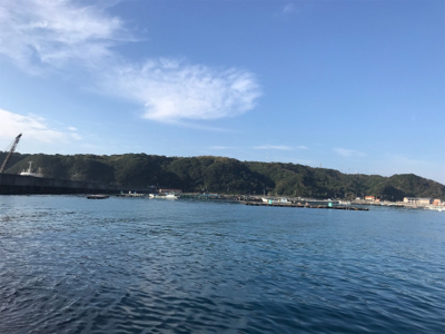 今年は釣れない