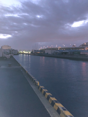 サイズupしてきました