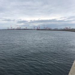 渋すぎ風強すぎ沖堤防!