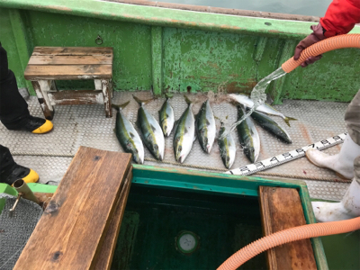 孝洋丸 落とし込み