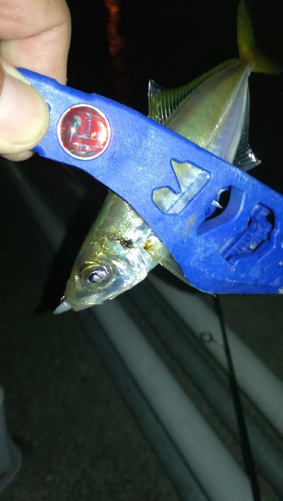 ナイトアジング