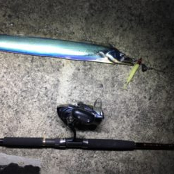 タダ巻きタチウオ