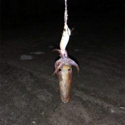 友達と、2桁目指して