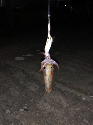 友達と、2桁目指して