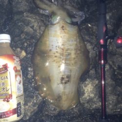 キロアップが遠い!