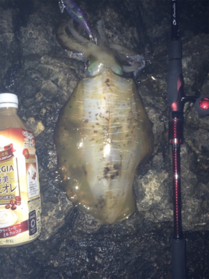 キロアップが遠い!