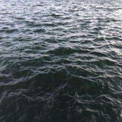 北風強い、寒い、でもゲット(^^)♪