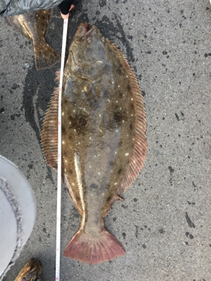 SFC プライベートボートでボートロック、…