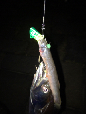 スーパーライト太刀魚テンヤゲーム