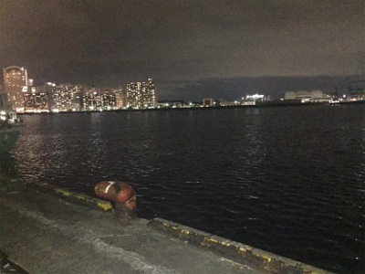 弁天町で太刀魚 今日はシブかった