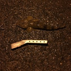 ちょい投げ釣行