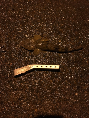 ちょい投げ釣行