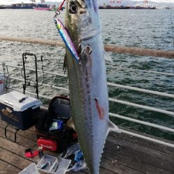 朝から粘って｡