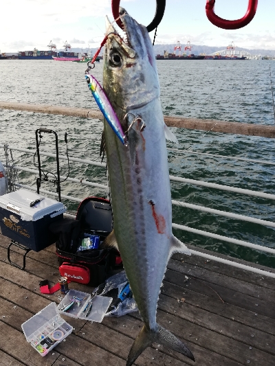 朝から粘って｡