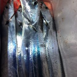 初めてのドラゴン級!