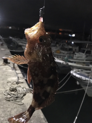 いつもの3種盛り