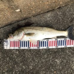 記録更新できました。