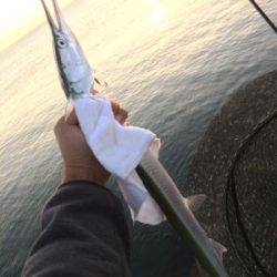 マリンピア沖洲でジギング