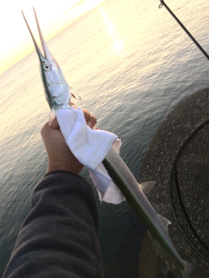 マリンピア沖洲でジギング