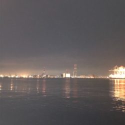 なんとか一匹捕獲