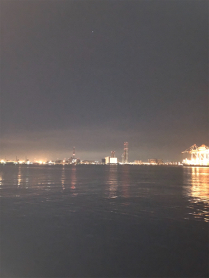 なんとか一匹捕獲