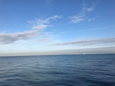 釣れるうちにタチウオ