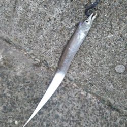 活性はそこそこ