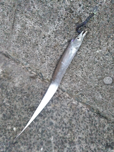 活性はそこそこ