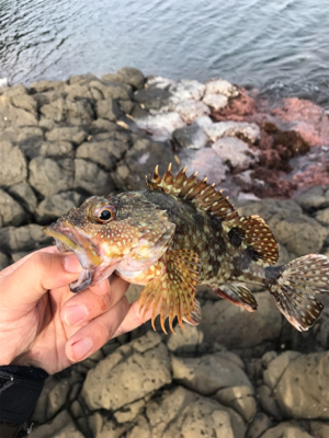 お試しテキサスリグ