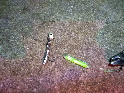 ライトタックルで初テンヤは爽快