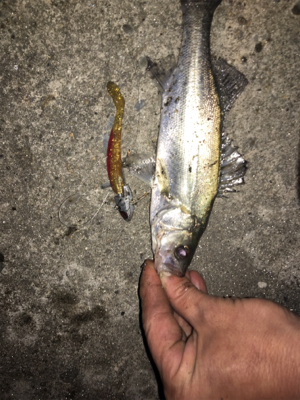 なんとかゲット！