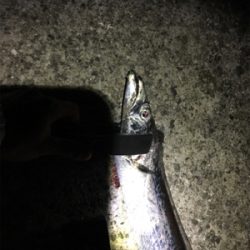 相変わらず渋い