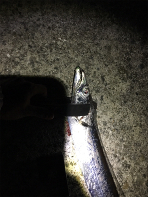 相変わらず渋い