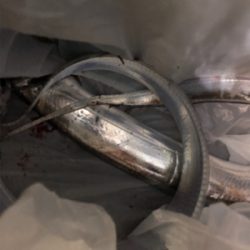 つらぬきプラス1本ばりS