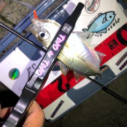 芦屋浜ライトゲーム