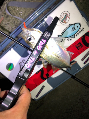 芦屋浜ライトゲーム