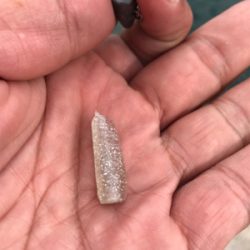 ヌーチーバラシー鯖