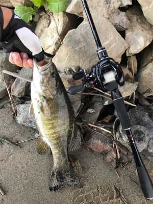 朝まずめ爆釣！